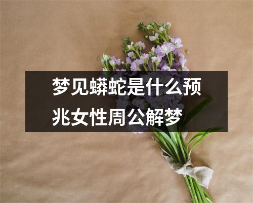 梦见蟒蛇是什么预兆女性周公解梦