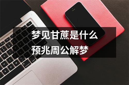 梦见甘蔗是什么预兆周公解梦