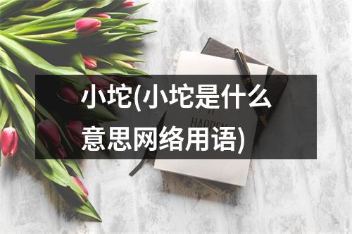 小坨(小坨是什么意思网络用语)