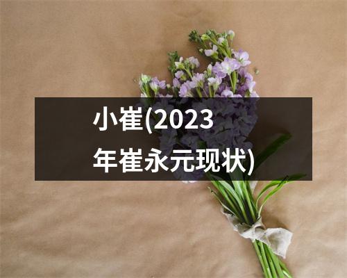 小崔(2023年崔永元现状)