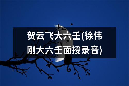 贺云飞大六壬(徐伟刚大六壬面授录音)