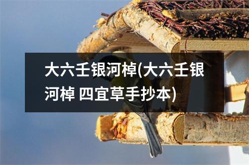 大六壬银河棹(大六壬银河棹 四宜草手抄本)