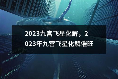 2023九宫飞星化解，2023年九宫飞星化解催旺