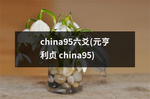 china95六爻(元亨利贞 china95)