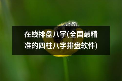 在线排盘八字(全国精准的四柱八字排盘软件)