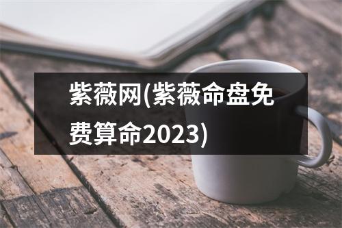 紫薇网(紫薇命盘免费算命2023)