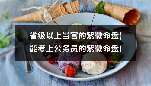 省级以上当官的紫微命盘(能考上公务员的紫微命盘)