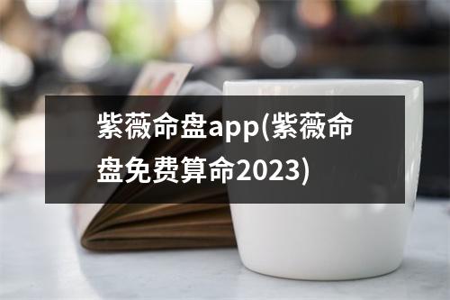 紫薇命盘(紫薇命盘免费算命2023)