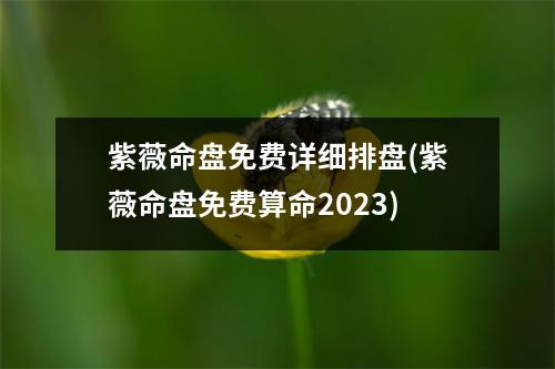 紫薇命盘免费详细排盘(紫薇命盘免费算命2023)