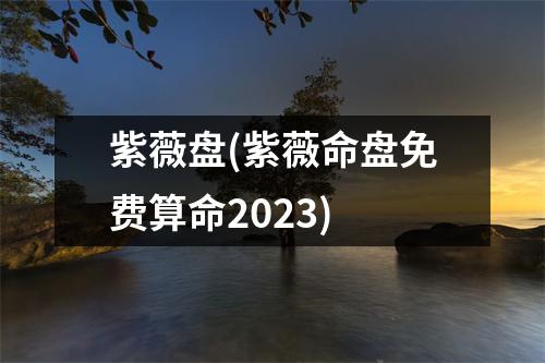 紫薇盘(紫薇命盘免费算命2023)