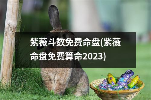 紫薇斗数免费命盘(紫薇命盘免费算命2023)