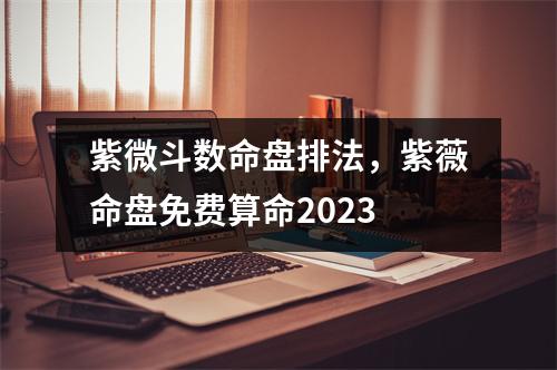 紫微斗数命盘排法，紫薇命盘免费算命2023