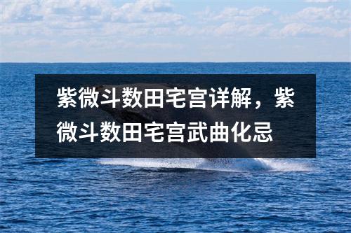 紫微斗数田宅宫详解，紫微斗数田宅宫武曲化忌