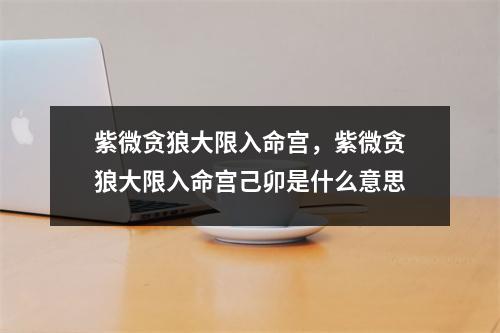 紫微贪狼大限入命宫，紫微贪狼大限入命宫己卯是什么意思