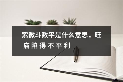 紫微斗数平是什么意思，旺 庙 陷 得 不 平 利