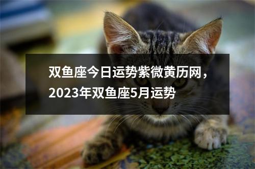 双鱼座今日运势紫微黄历网，2023年双鱼座5月运势