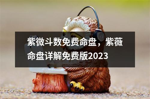 紫微斗数免费命盘，紫薇命盘详解免费版2023