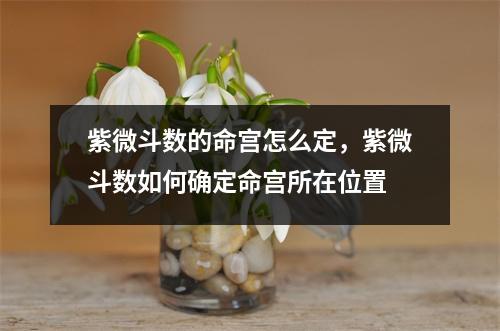 紫微斗数的命宫怎么定，紫微斗数如何确定命宫所在位置