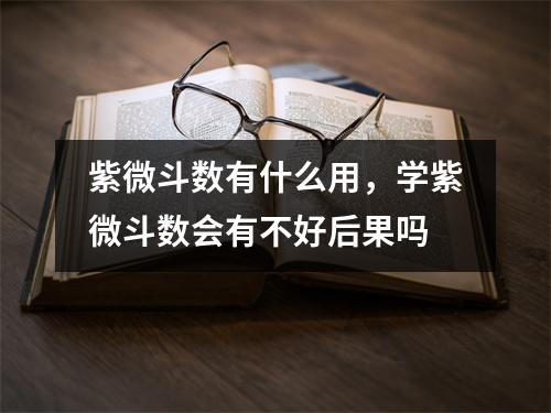 紫微斗数有什么用，学紫微斗数会有不好后果吗