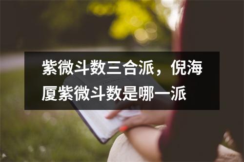 紫微斗数三合派，倪海厦紫微斗数是哪一派