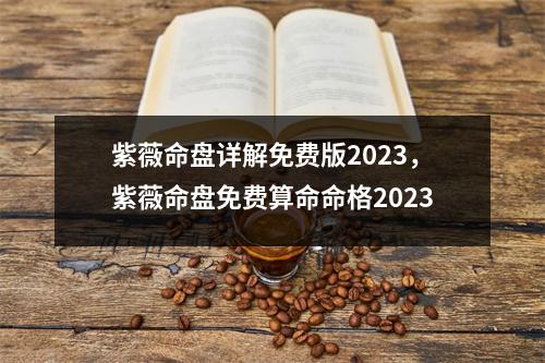 紫薇命盘详解免费版2023，紫薇命盘免费算命命格2023