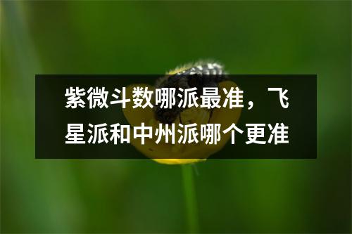 紫微斗数哪派准，飞星派和中州派哪个更准