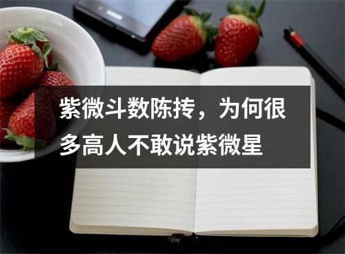 紫微斗数陈抟，为何很多高人不敢说紫微星