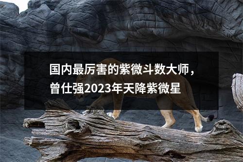 国内厉害的紫微斗数大师，曾仕强2023年天降紫微星