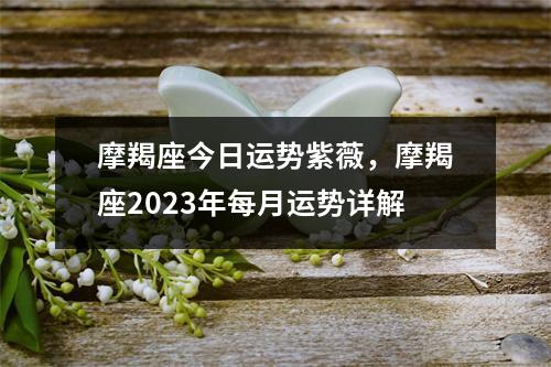 摩羯座今日运势紫薇，摩羯座2023年每月运势详解