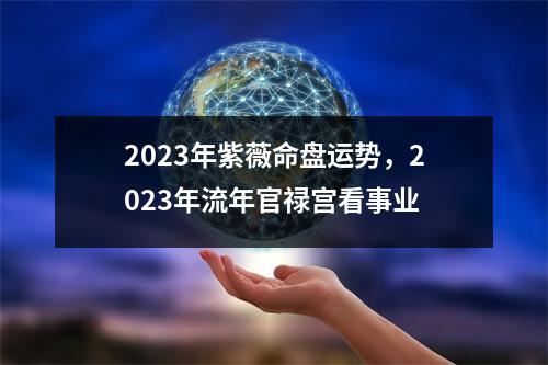 2023年紫薇命盘运势，2023年流年官禄宫看事业