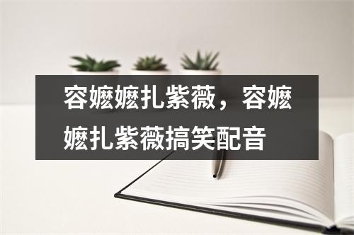 容嬷嬷扎紫薇，容嬷嬷扎紫