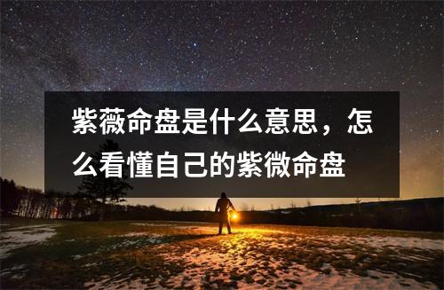 紫薇命盘是什么意思，怎么看懂自己的紫微命盘