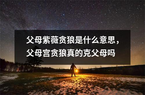 父母紫薇贪狼是什么意思，父母宫贪狼真的克父母吗