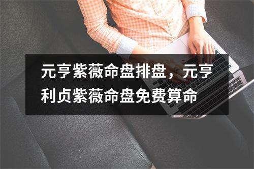 元亨紫薇命盘排盘，元亨利贞紫薇命盘免费算命