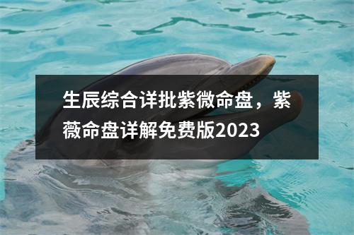 生辰综合详批紫微命盘，紫薇命盘详解免费版2023