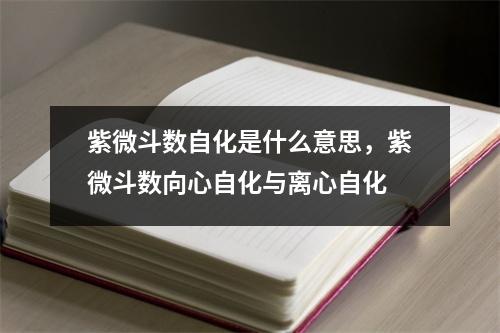 紫微斗数自化是什么意思，紫微斗数向心自化与离心自化