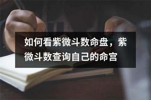 如何看紫微斗数命盘，紫微斗数查询自己的命宫