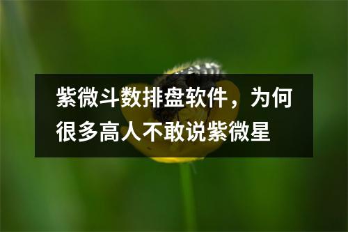 紫微斗数排盘软件，为何很多高人不敢说紫微星