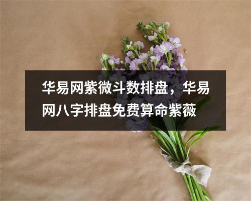 华易网紫微斗数排盘，华易网八字排盘免费算命紫薇