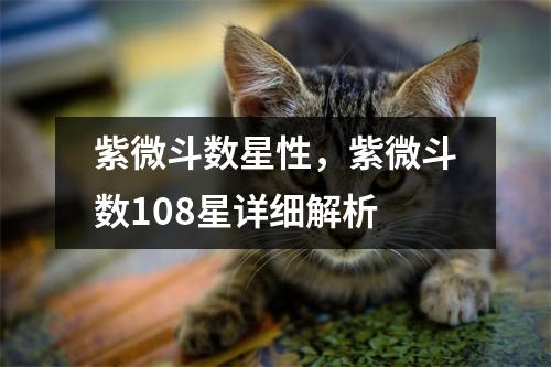 紫微斗数星性，紫微斗数10