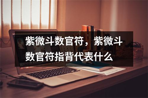 紫微斗数官符，紫微斗数官符指背代表什么