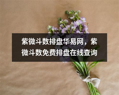 紫微斗数排盘华易网，紫微斗数免费排盘在线查询