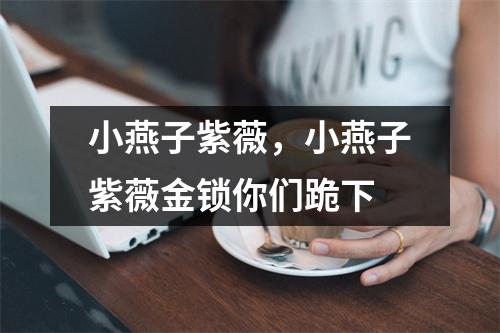 小燕子紫薇，小燕子紫薇金锁你们跪下