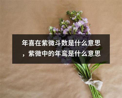 年喜在紫微斗数是什么意思，紫微中的年鸾是什么意思