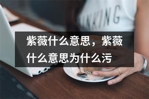 紫薇什么意思，紫薇什么意思为什么污