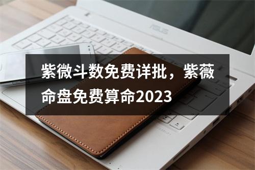 紫微斗数免费详批，紫薇命盘免费算命2023