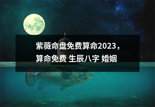 紫薇命盘免费算命2023，算命免费 生辰八字 婚姻