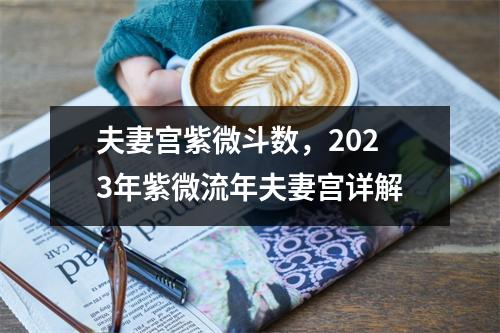 夫妻宫紫微斗数，2023年紫微流年夫妻宫详解