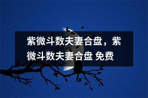 紫微斗数夫妻合盘，紫微斗数夫妻合盘 免费