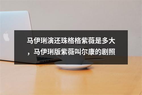 马伊琍演还珠格格紫薇是多大，马伊琍版紫薇叫尔康的剧照